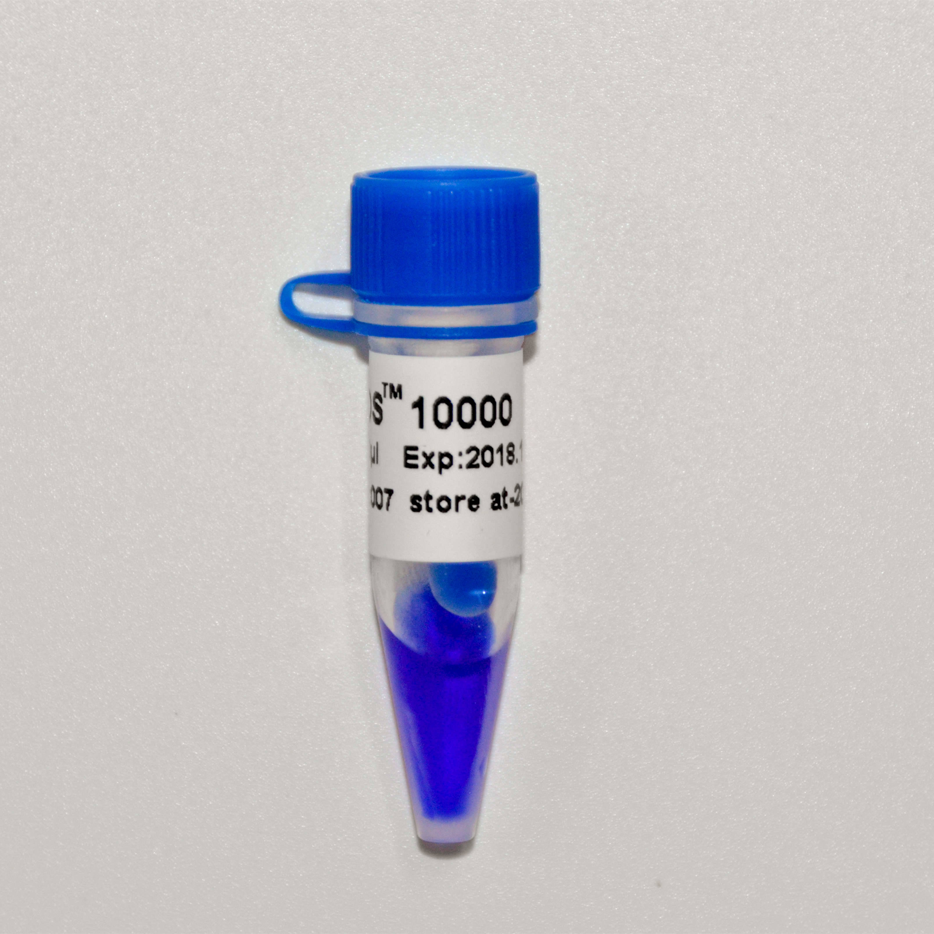 DNA Marker DS10000（M1221-M1222）