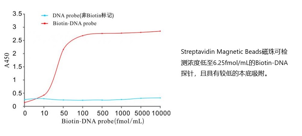 链霉亲和素磁珠 Streptavidin Magnetic Beads (2μm) ，10 mg/mL（NBS2305）