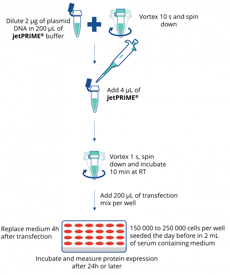 olyplus jetPRIME transfection reagent（101000046）图五.png