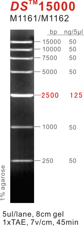 DNA Marker DS15000（M1161-M1162）.jpg