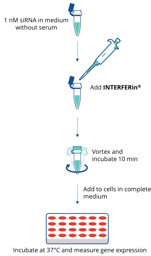 Polyplus siRNA miRNA转染试剂INTERFERin®(101000028) 图八.png