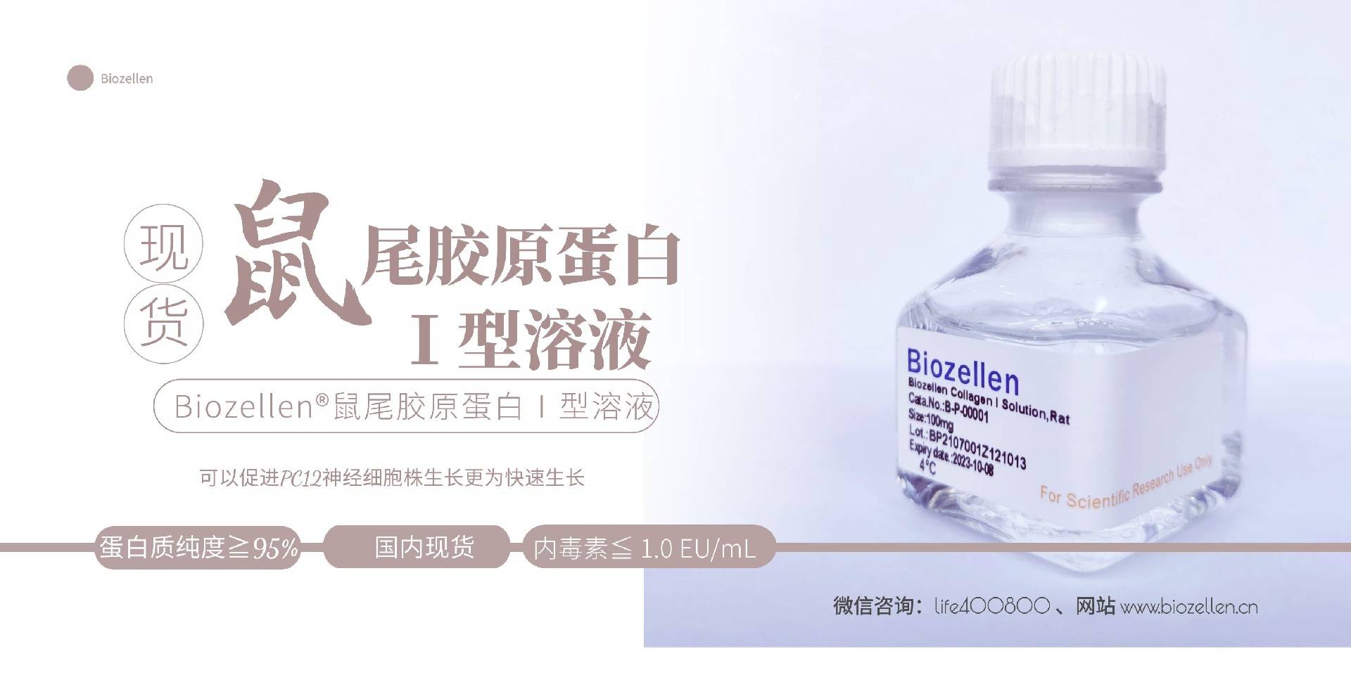 B-P-00001  Biozellen®鼠尾胶原蛋白Ⅰ型溶液 一.jpg