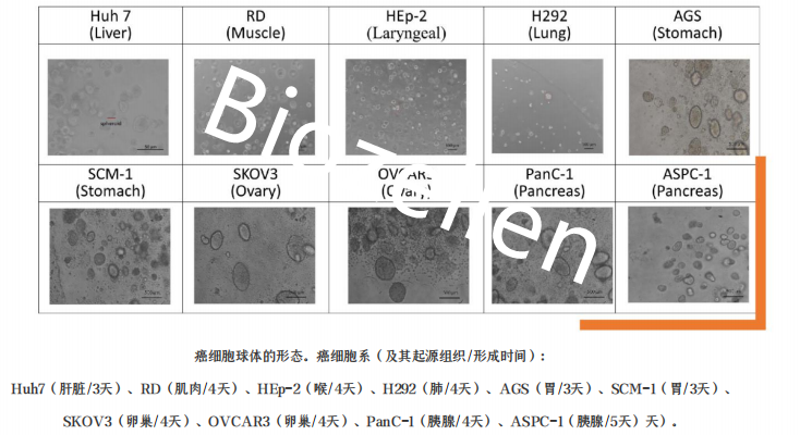 B-P-00003   Biozellen®3D类器官培养基质胶套装 二.png